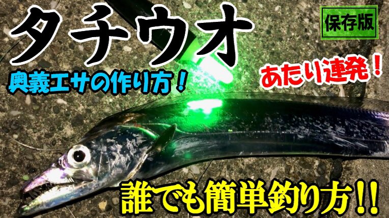 はやと はやとちゃんねる タチウオのあたりが沢山でるエサの作り方も 誰でも簡単 堤防から市販のタチウオ仕掛けで狙う太刀魚の手軽な釣り方をご紹介 あたりが多い自家製サバの切り身の作り方 道具 仕掛け タナ エサ付 釣り方 T Co