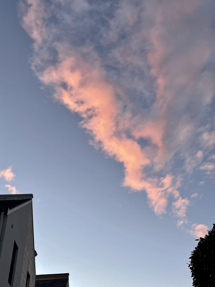 Backyard sunset #sunsetphotography #Sydney