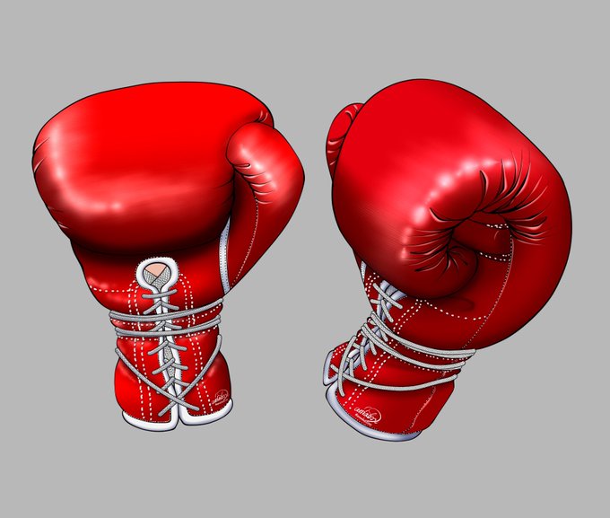 ひも式ソフトタイプボクシンググローブ(12oz)φ(^^) 
