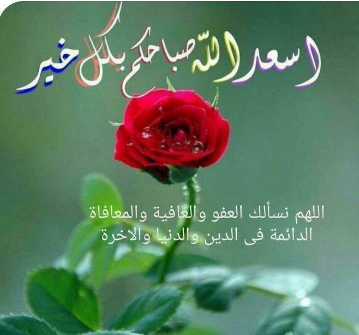 SajedAbd's tweet photo. @alreem2_80 https://t.co/V0mB8PDl6L