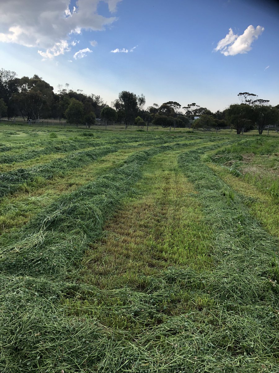 Damien stephens tweet media