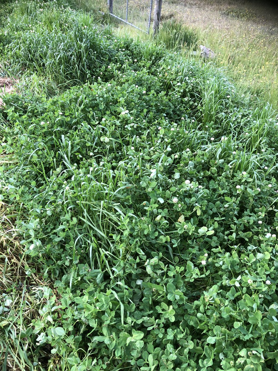 Damien stephens tweet media