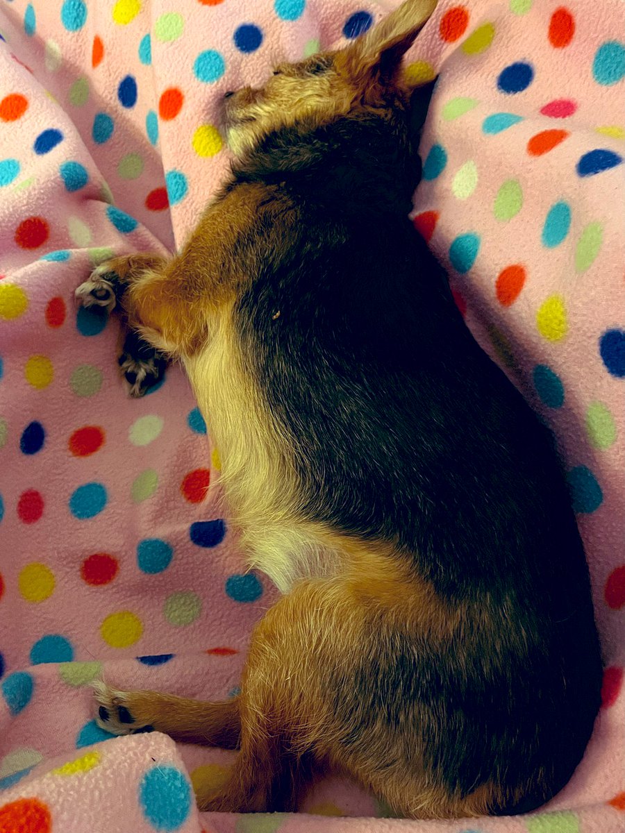 Ken Barlow tweet media