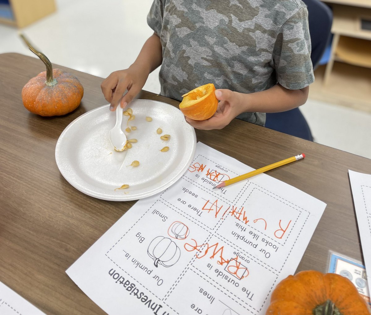 CKelly_NISD's tweet photo. 2.2(A) ask questions about organisms, objects, events during observations & investigations 2.2(E) communicate observations & justify explanations using student-generated data from simple descriptive investigations
@NISDSpecialEd @NISDTomlinson #ALEclass https://t.co/uX06KgYW4M