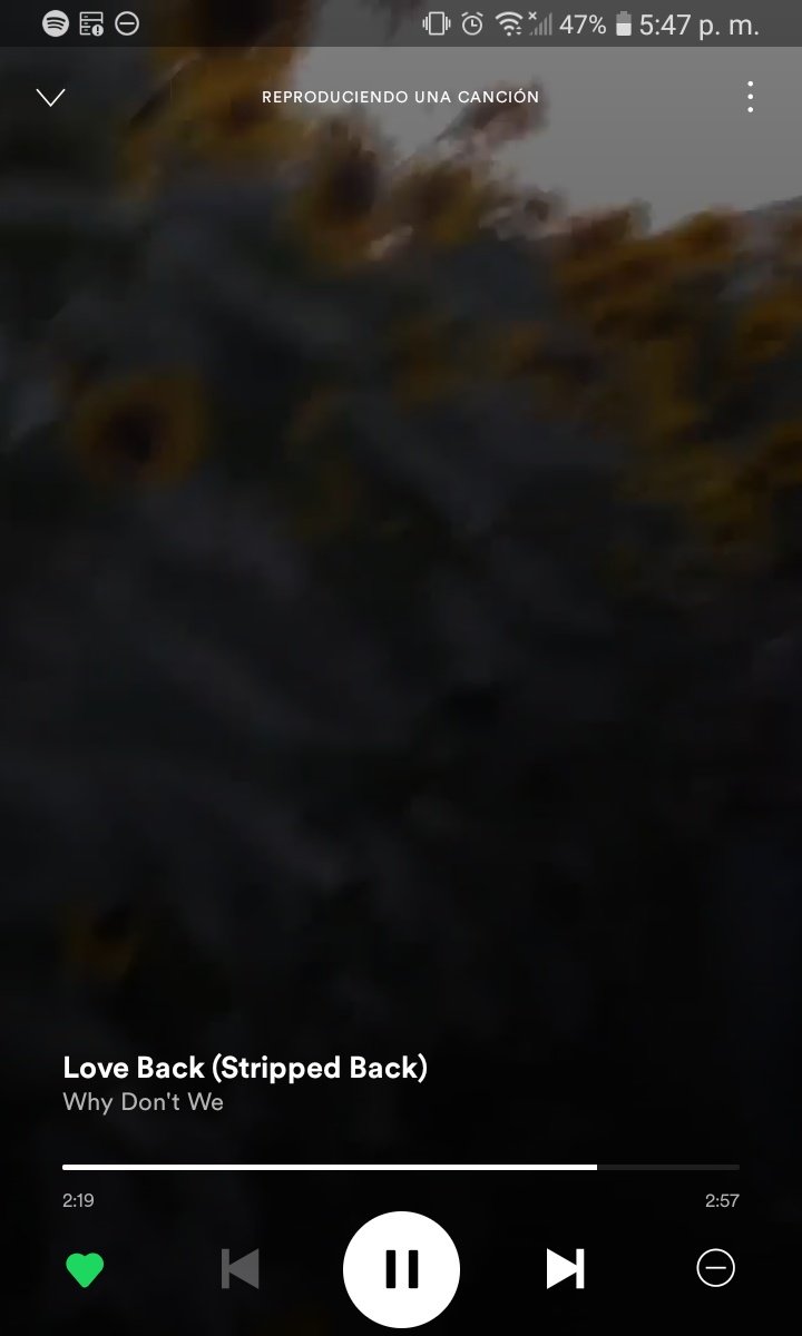 one_moonline's tweet photo. Amando hacer estos rompecabezas mientras se hace stream a esta nueva versión de Love Back que es una joyitaaaa 🤍
Tmb se logró hacer antes de que acabara Love Back, yeii ✨
@opm_WDW @whydontwemusic
#LOVEBACKSP #integracionwdwer #StreamLoveBack https://t.co/dfSZYUWswh