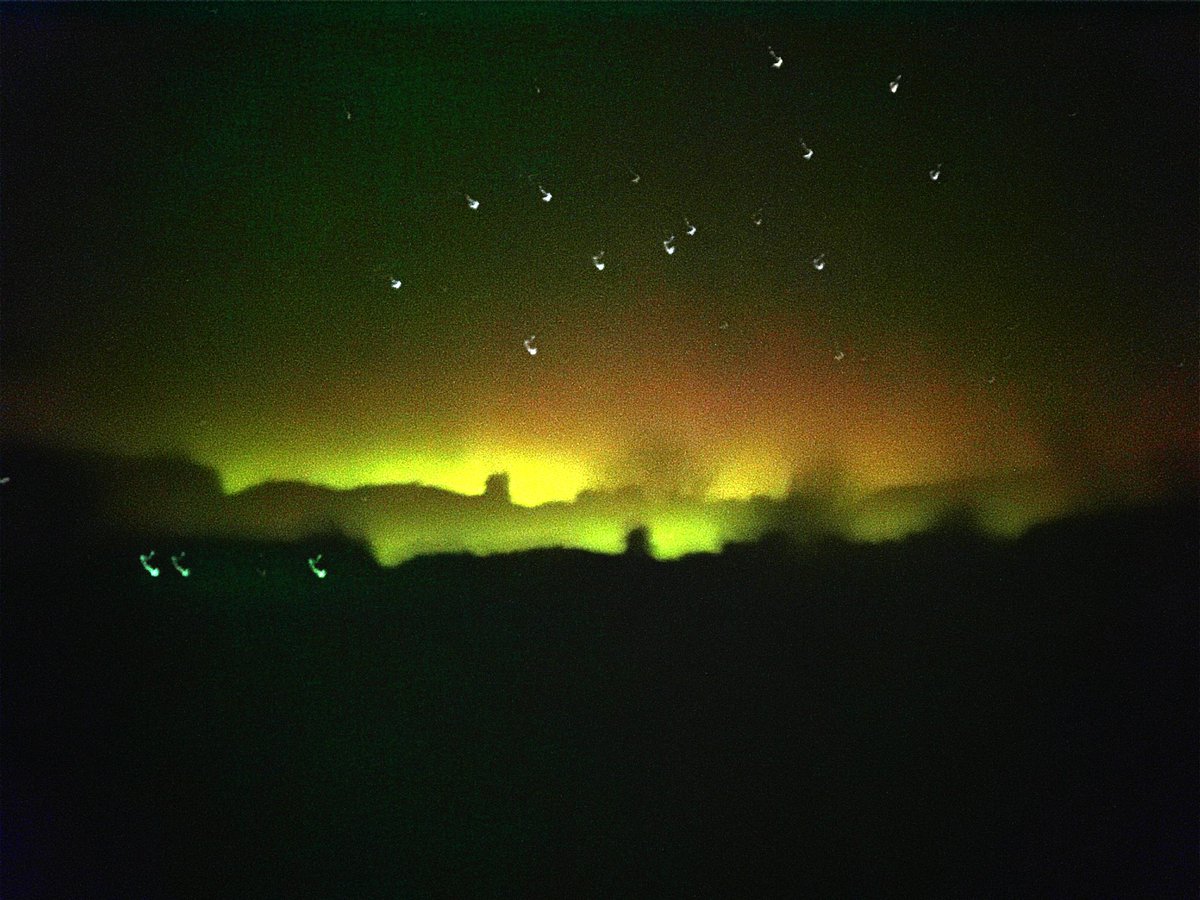 Coll Bunkhouse tweet media