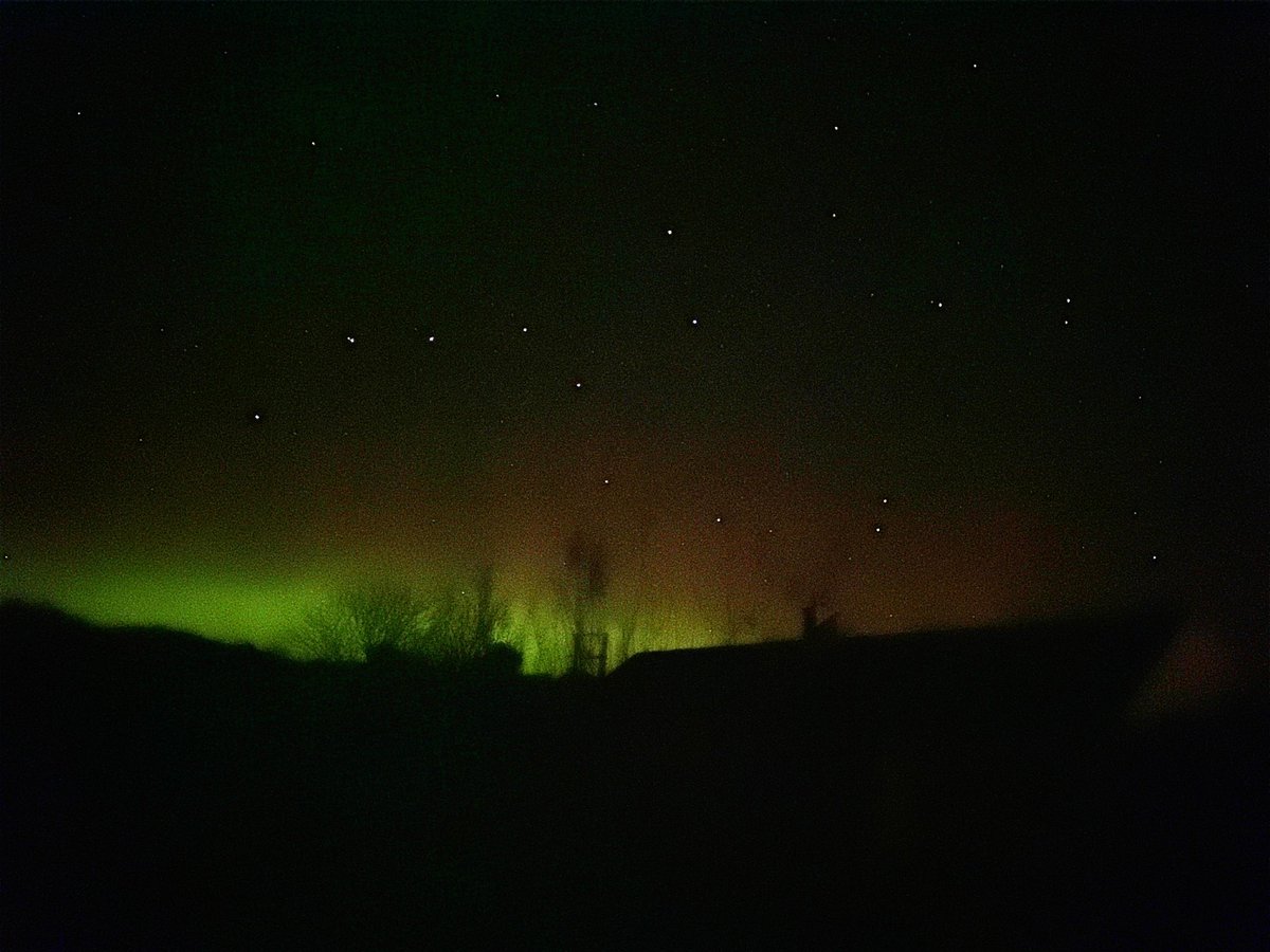 Coll Bunkhouse tweet media