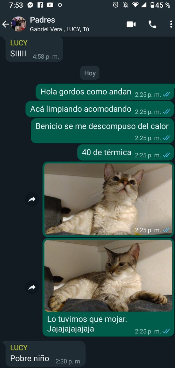 Mis papás literalmente 24/7: no nos llamas nunca. Te desapareces, no nos prestas atención.
También mis papás cuando los hablo.
Dios mio no los puedo devolver?