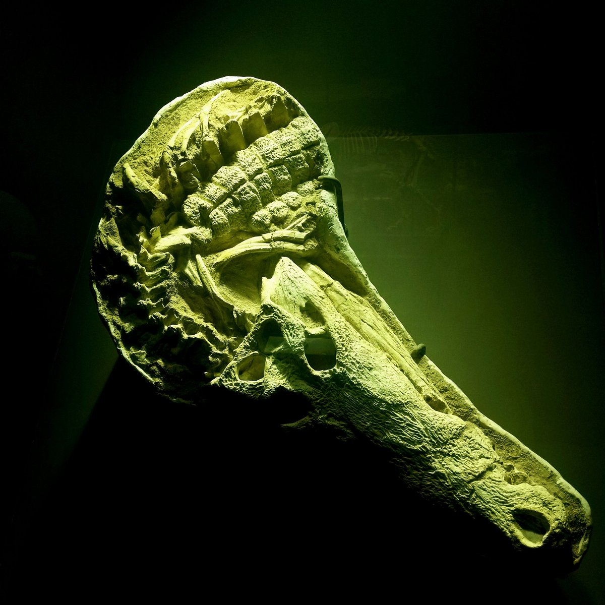 Tellus Science Museum tweet media