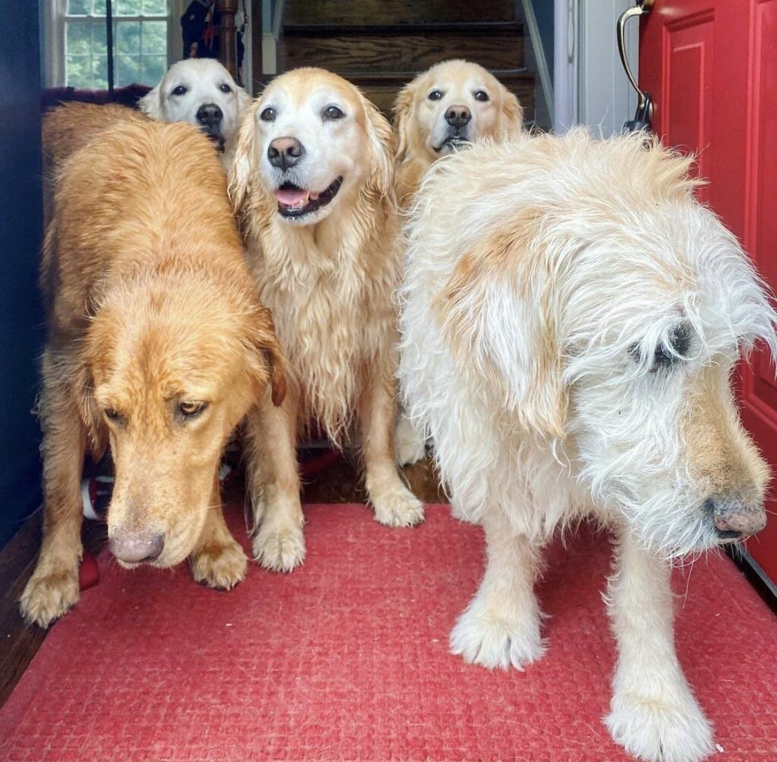 The Curious Mind of Venkman tweet media