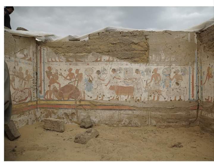 AhmedMekawyOuda's tweet photo. The excavation mission of the Faculty of Archaeology Cairo university at Saqqara reveals a beautiful tomb for Ptah-em-wia, the royal scribe, the Great Overseer of the Cattle in the temple of Ramesses II in the state of Amun. https://t.co/CbuDBvYnUG