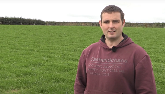 teagasc's tweet photo. Eddie Gavin has just joined the Teagasc BETTER farm sheep programme this autumn. Currently Eddie runs a flock of 320 ewes, with 80 ewes lambing in January and the rest of the flock lambing from early March. Find out more https://t.co/LSdMw4cHHY @TeagascSheep https://t.co/uvZALpI911