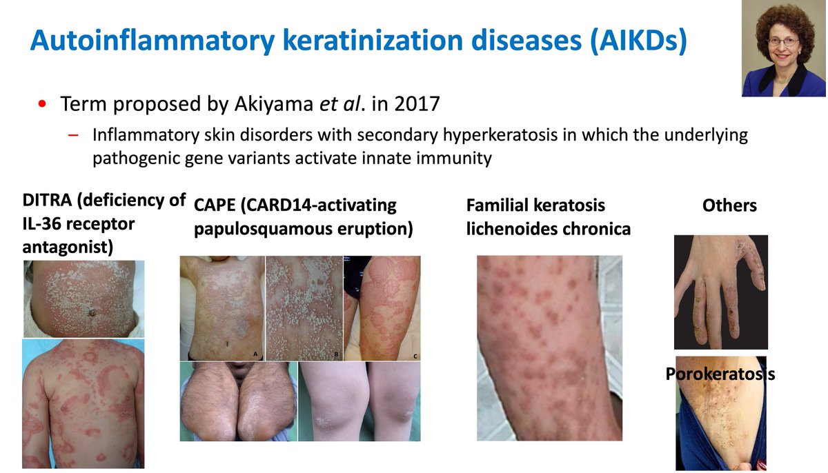 Alex G Ortega Loayza (ThePGguy) Twitter