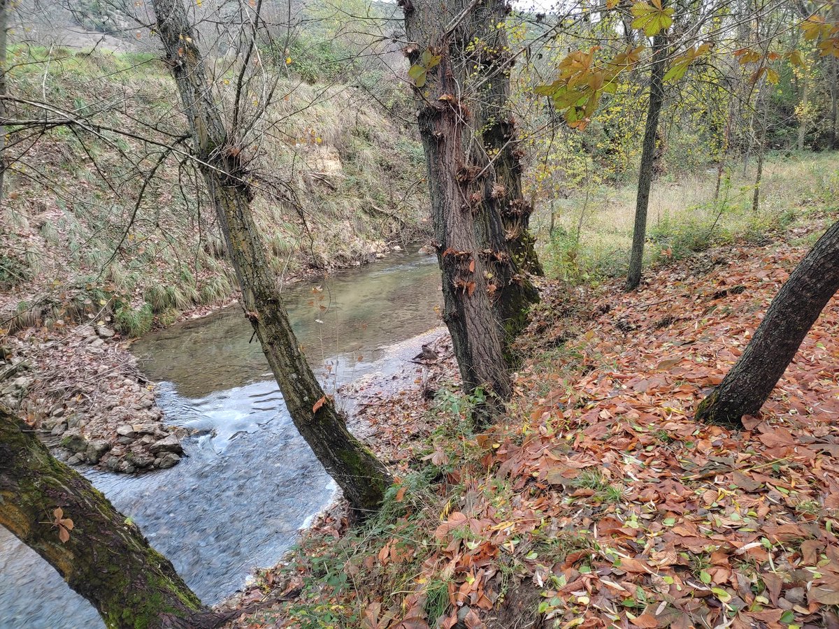 Jarvis34628813's tweet photo. Aire puro en #Beteta y #ElTobar. Un regalo de la naturaleza en pleno otoño. https://t.co/1bIjOsdwjj