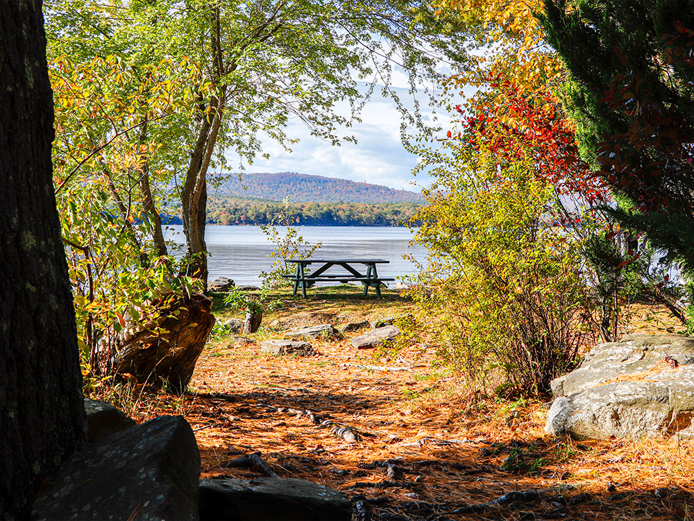 Peninsula Park - Belgrade Lakes, Maine #longpond #outdoors #maine #newengland #mainefoliage #fallfoliage #belgradelakes #photography #landscapephotography #westernmaine #fall #autumn #fallcolors #naturephotography #nature #landscape #peninsulapark