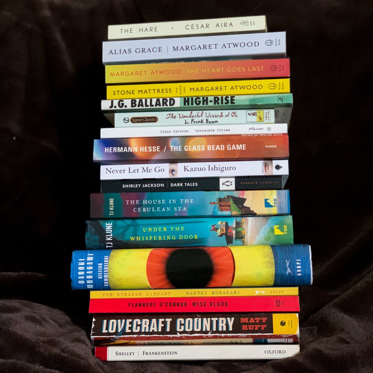 RebeccaWilliams's tweet photo. 17 books finished this month. https://t.co/TATZ4JAI39
