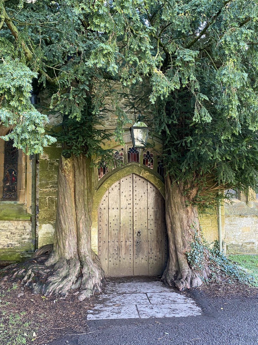 St Edward’s Church in Stow on the Wold with this magical medieval door flanked by ancient yew trees #stowonthewold