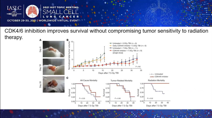 IASLC's tweet photo. Dr. Kwon-Kin Wong is currently presenting at #SCLC21 the topic: CDKs as Targets in #SCLC, Join us! #LCSM https://t.co/lGeve7zsjS