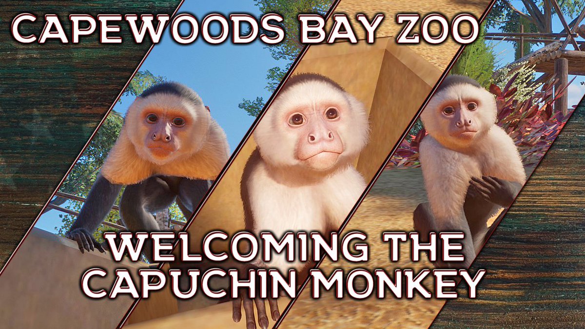 Soras_Gaming's tweet photo. Capewoods Bay Zoo. Continuing with our new franchise zoo in @PlanetZooGame
https://t.co/FlIzq7VyWE
#PlanetZoo #FranchiseZoo #Letsplay #ZooBuild https://t.co/efZ2ySnCsO