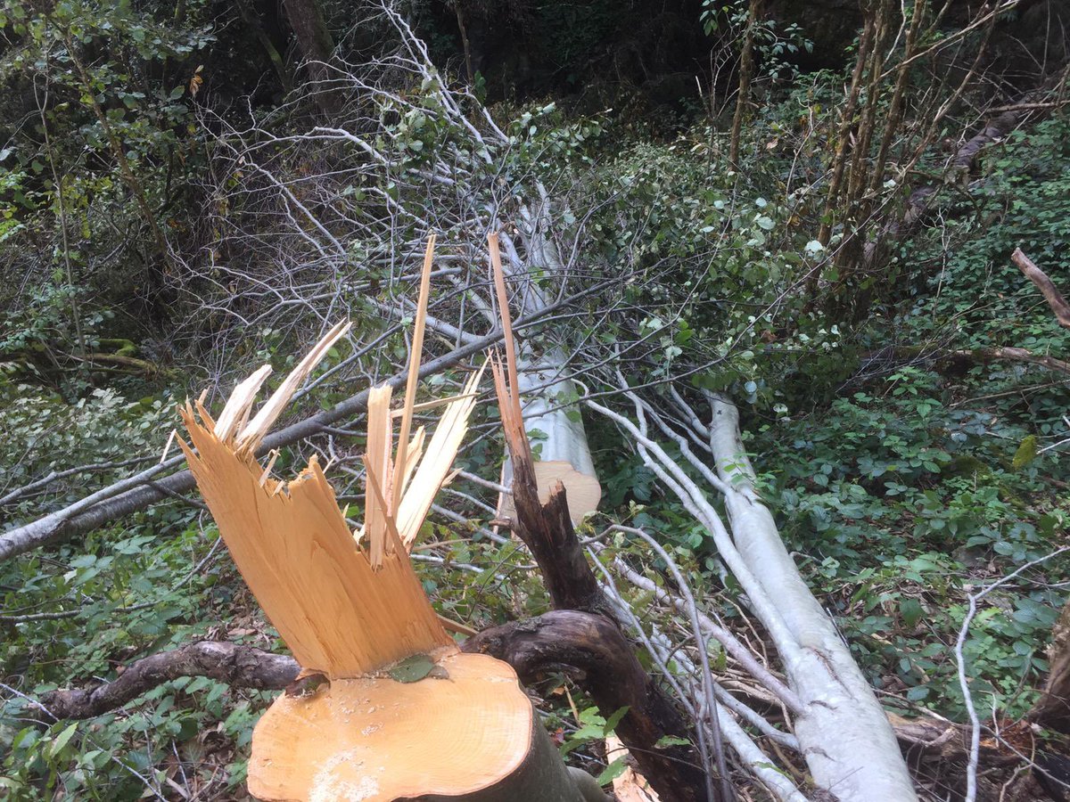 İkizdere de bilirkişi raporu çıkmışken yılıma talana devam ediliyor ! <a href="/ikizdere_icder/">İkizdere Çevre Derneği</a> #ikizderetasocağıolmasın #ikizderedireniyor