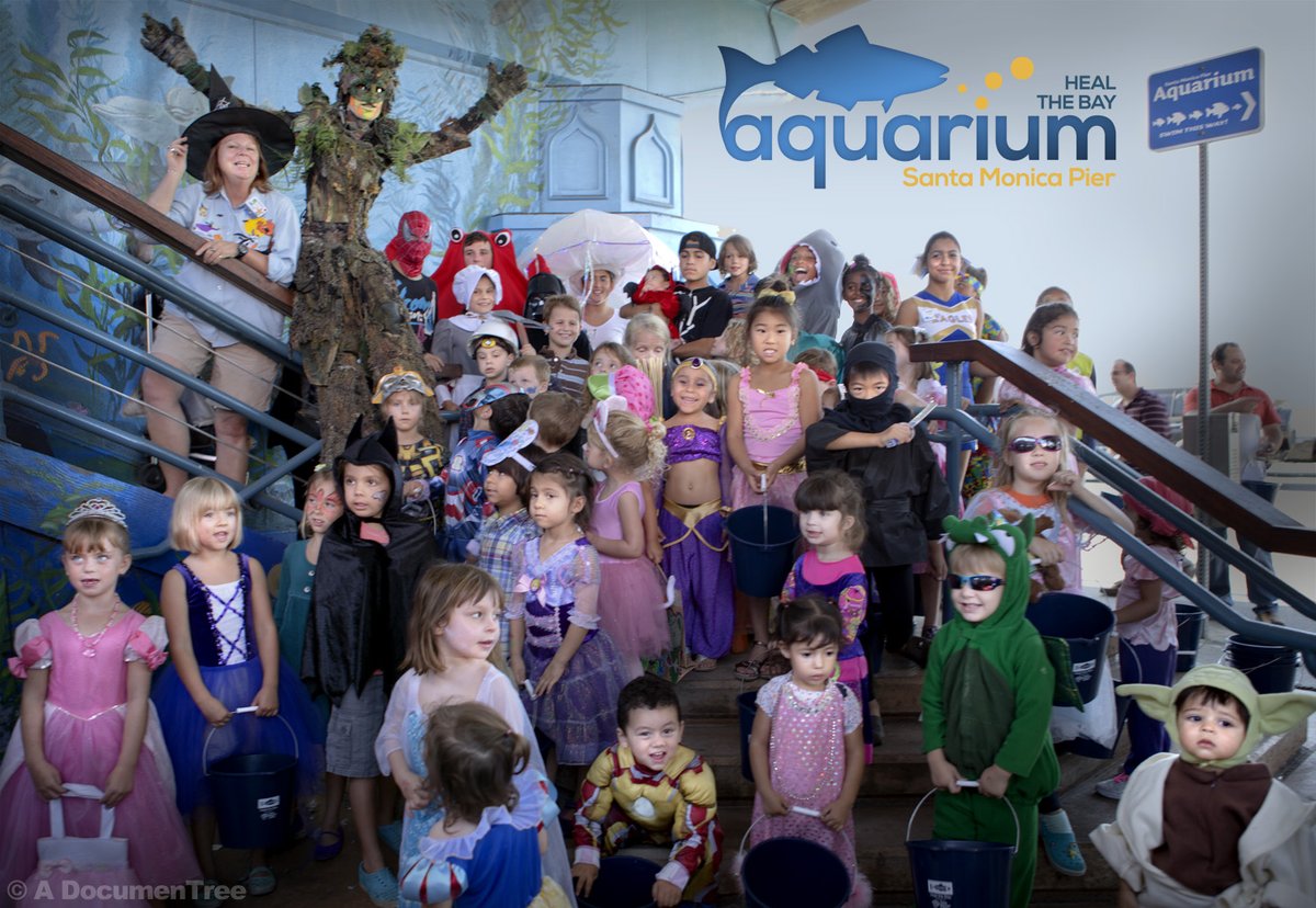 adocumentree's tweet photo. Trick or Treeeeeeeet? 🌳🌳🌳🎃 Happy Halloween Weekend! 👻👽🤡🤠🤖💀😺🐸🐼🐰🦁

@HealTheBay @healthebayAQ @Treemanity  @FallonNature #halloween #holidays #communiTree #kids #costumes #adocumentree #peace #hope #togetherness #giveback #aTreeciation https://t.co/Xaee29xsBY