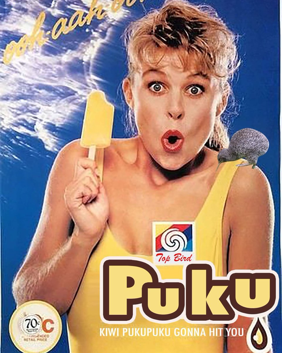 kiwi_vote's tweet photo. One for 80s and 90s kids. Voting closes today at 5pm, don't forget to vote for kiwi pukupuku and friends at https://t.co/C6uvrAa4P7 https://t.co/tkJBOsKU02