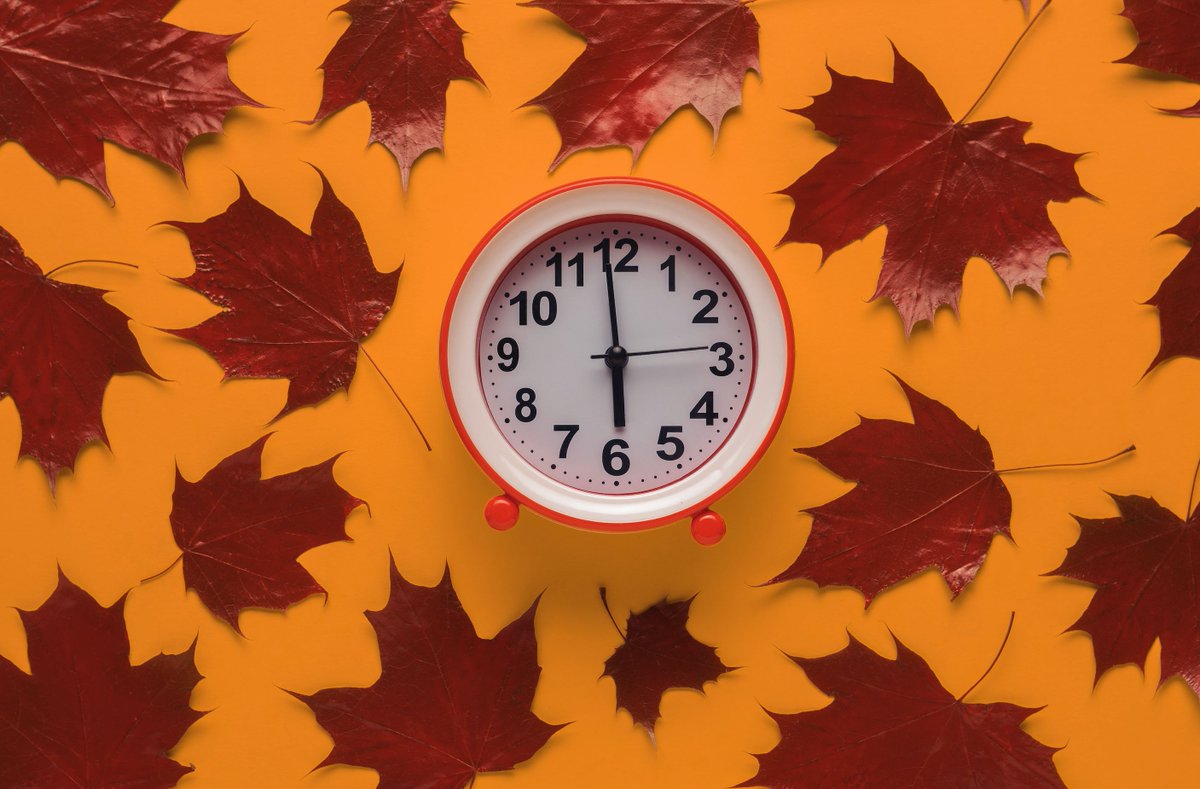 Partou_UK's tweet photo. Fall Back!
Remember to change your clocks and set them back an hour tomorrow.◀️ 🕐 😴 https://t.co/IKUWB7EKme