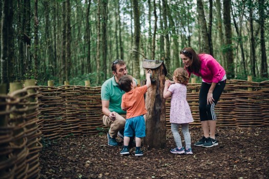 Offaly Tourism tweet media