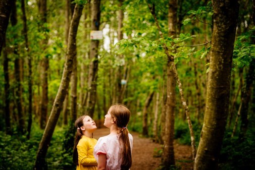 Offaly Tourism tweet media