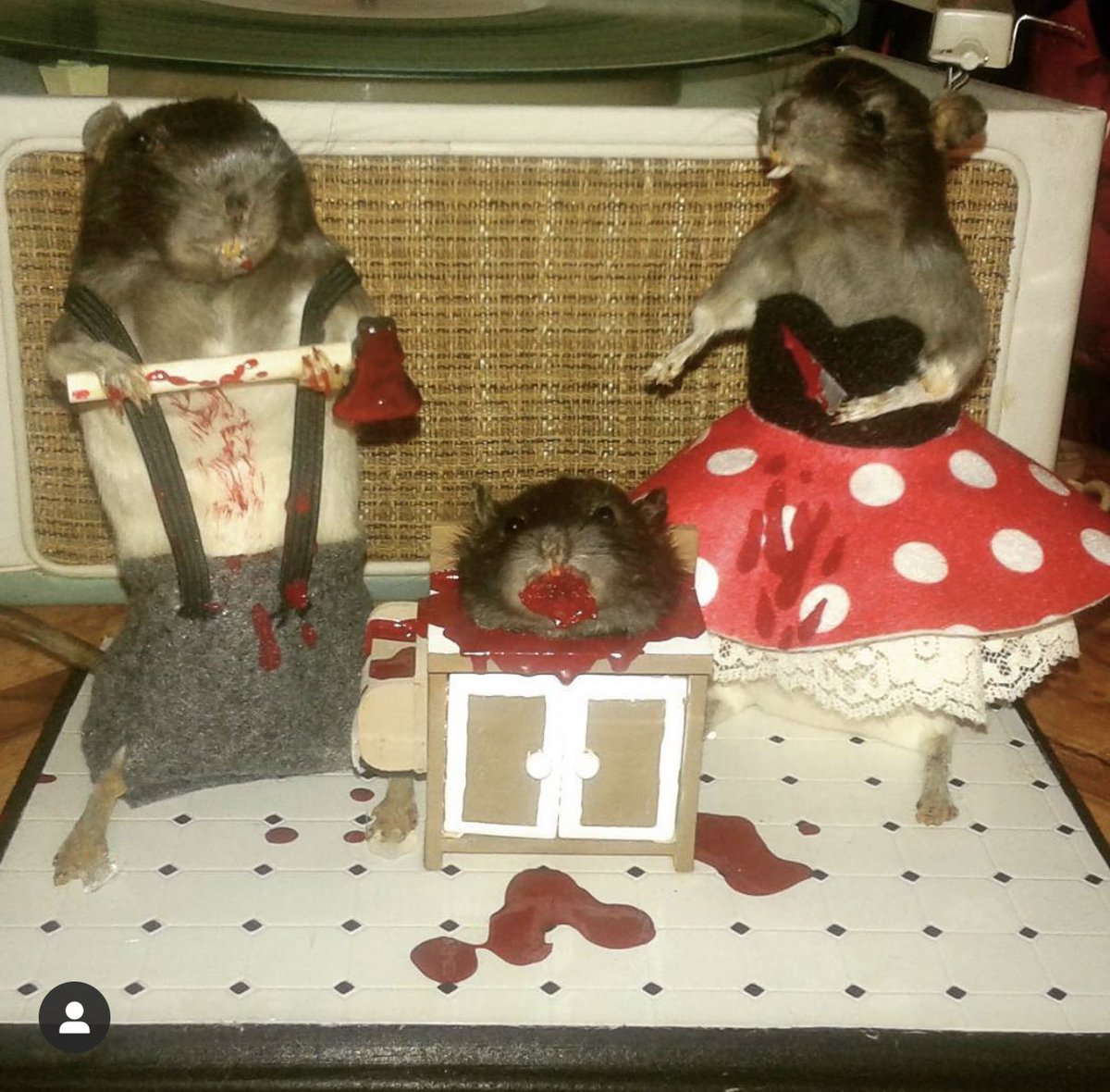 Manny48050686's tweet photo. Killer couple vibes that are two rats in love 🐀❤️🐀 #taxidermy #rattaxidermy #HorrorArt #boo #halloween2021 #couplegoals https://t.co/IZHUPXLuXD
