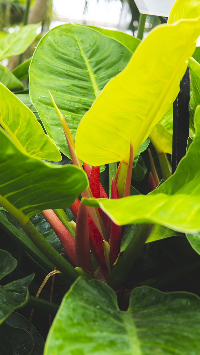 smallpush_'s tweet image. 