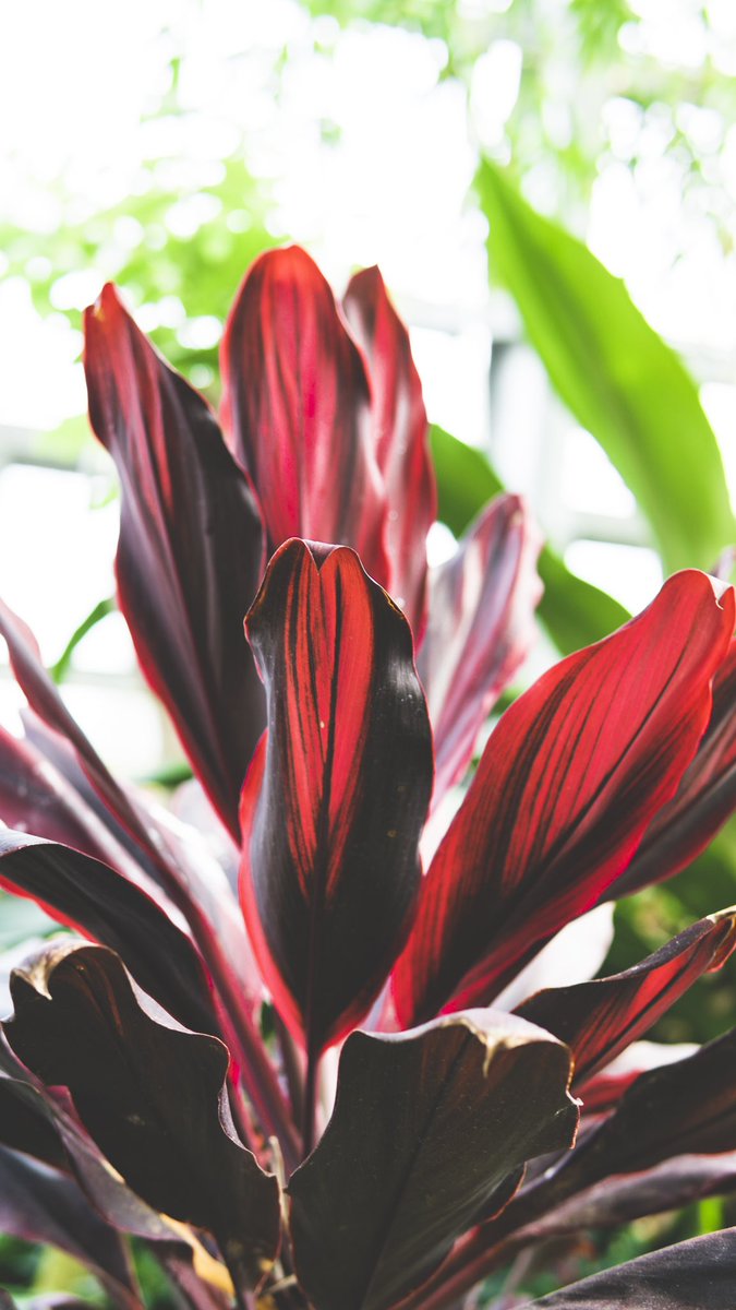 smallpush_'s tweet image. 