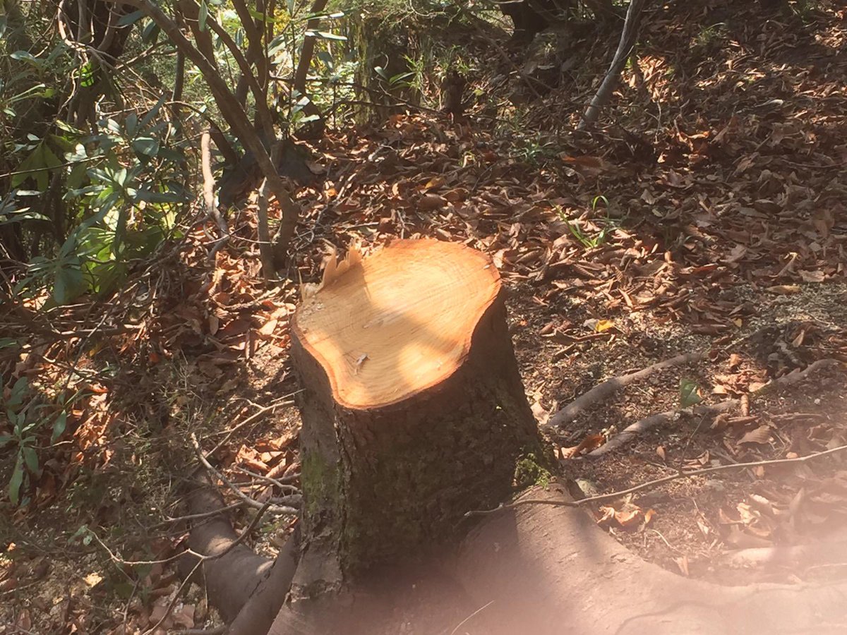 Ahhh canım İkizdere!! Fotoğrafa bakarken bile içim acıyor! <a href="/ikizdere_icder/">İkizdere Çevre Derneği</a> #ikizderetasocağıolmasın #ikizderedireniyor