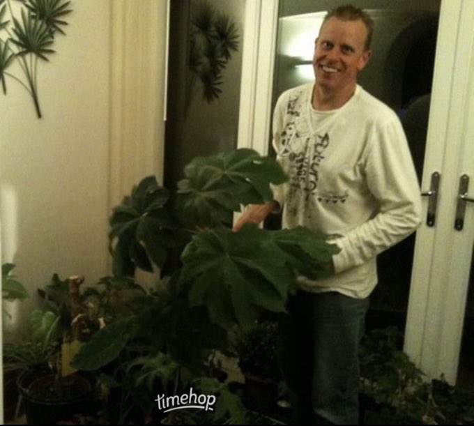 @HG_Philip I purchased this one in 2009 from <a href="/CGFBrown/">Cotswold Garden Flowers</a> at a rare plant fair. It was planted out in 2010
Picture from winter 2009 where it stayed in the house until spring. I was sooooo young then!!!! 😂