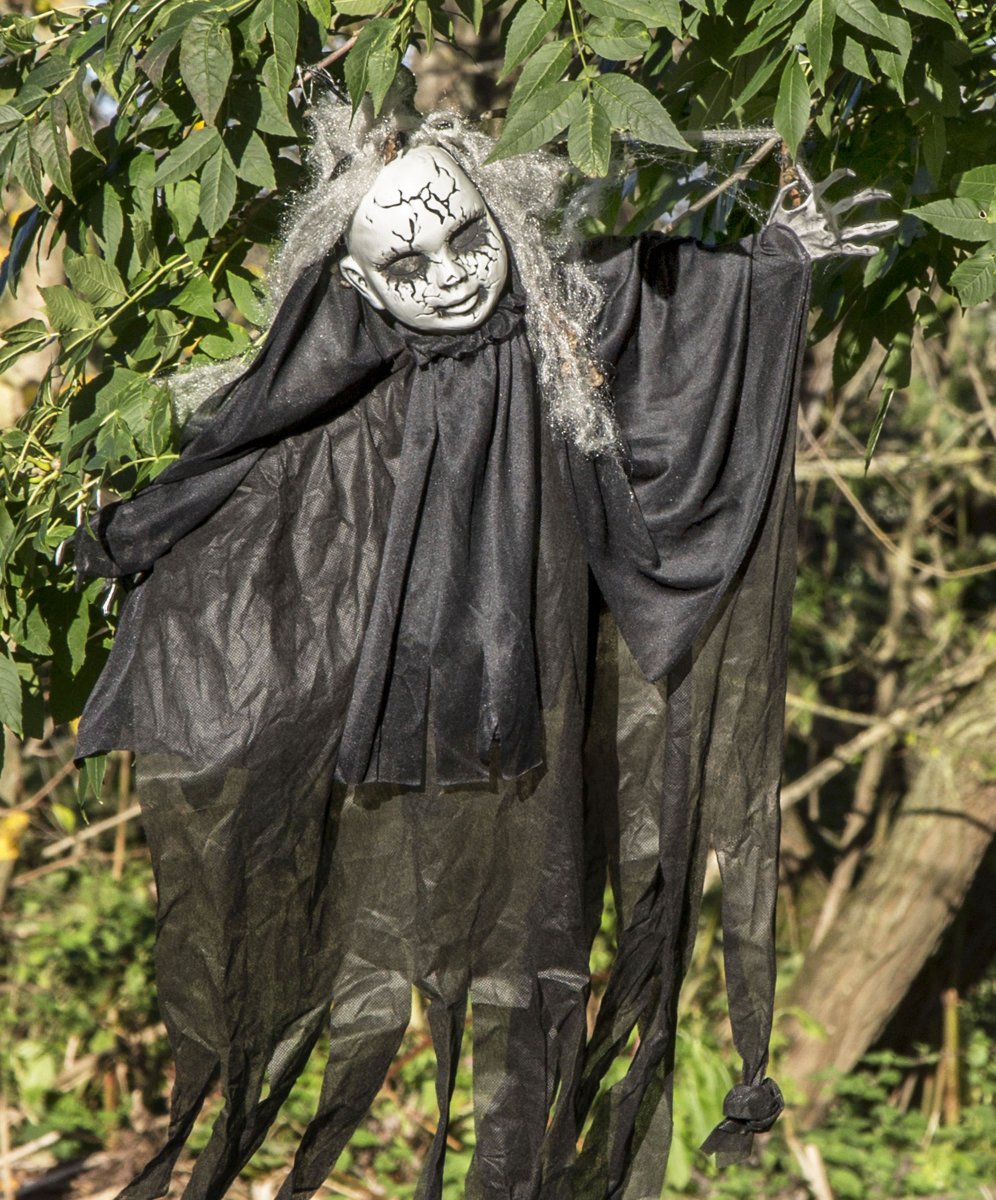 GreySnapper03's tweet photo. The garden of Islip Mill,Northants all set for Halloween. https://t.co/cbku7FgVDi