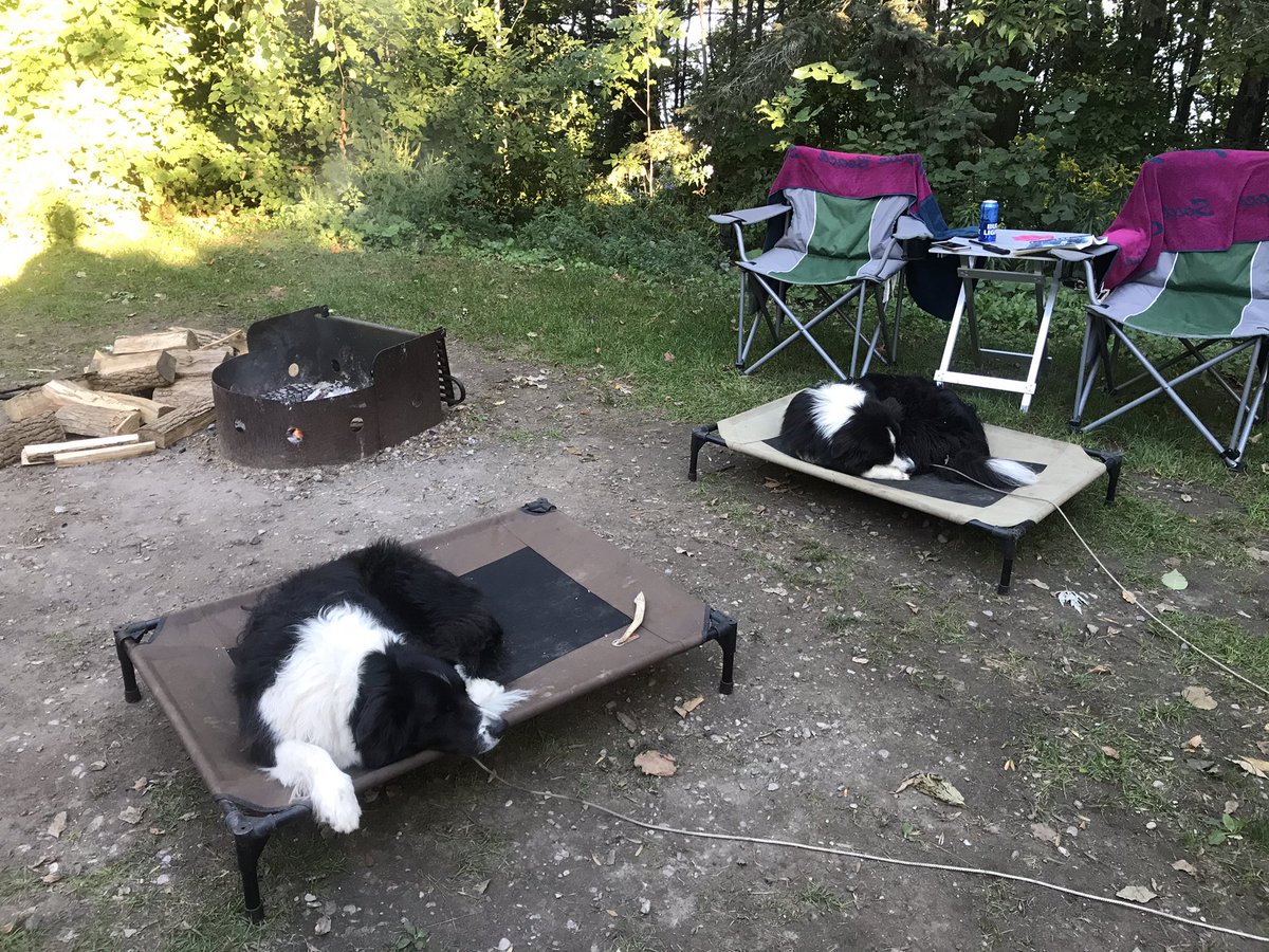 KelloggGavin's tweet photo. @TerryHillsMaint My boys love their beds by the campfire https://t.co/MTFTfzbW3M