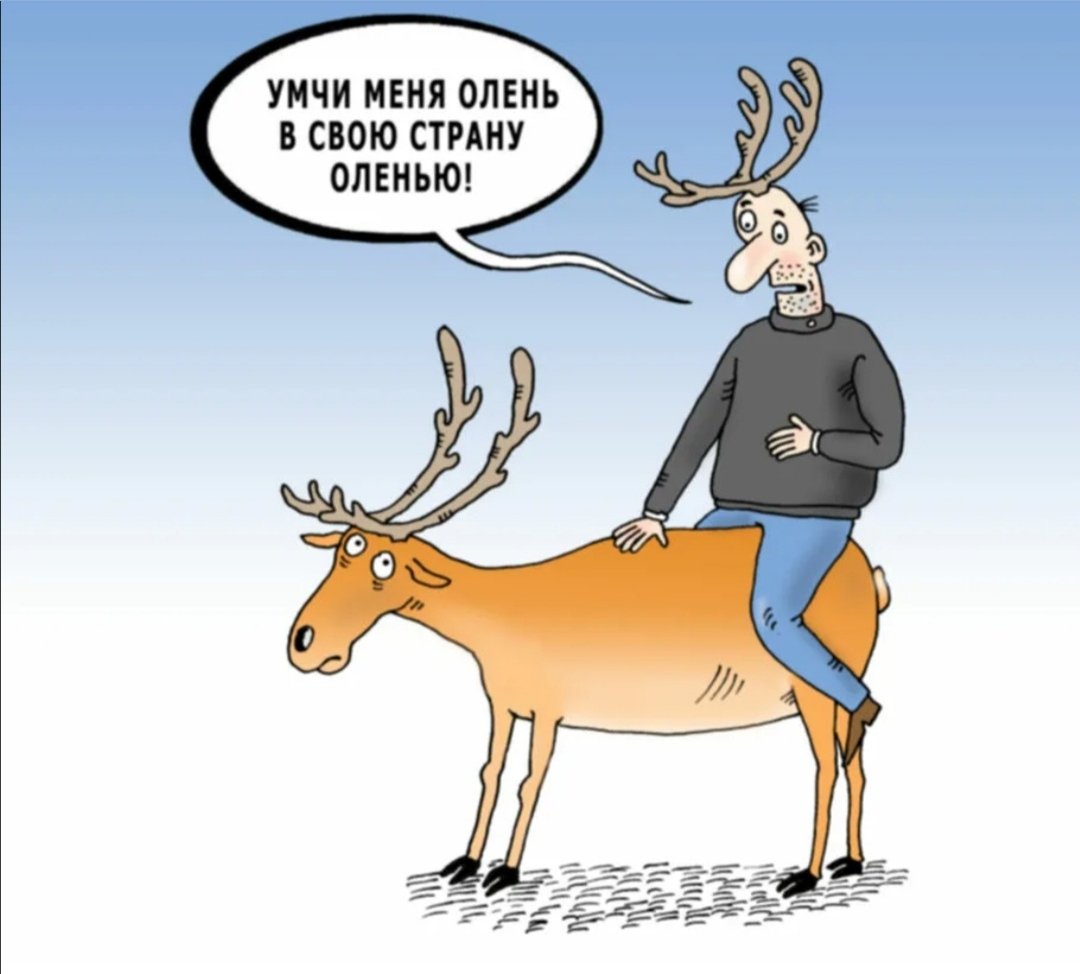 Шутки про оленей