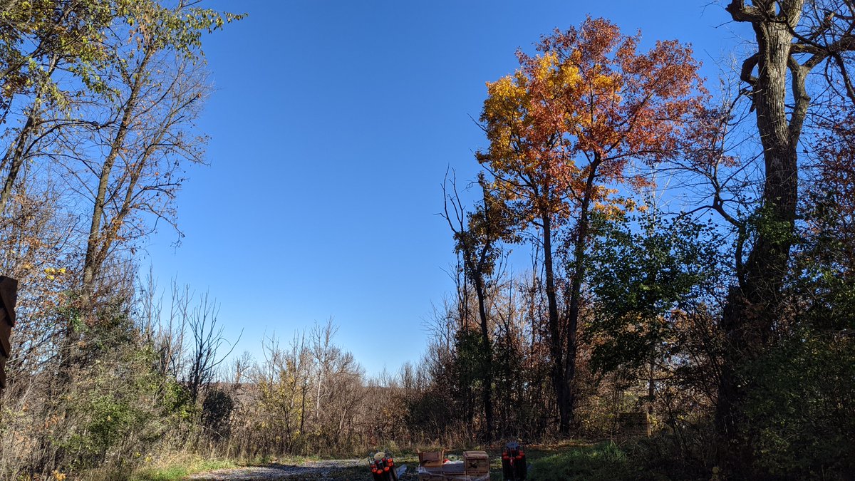 A little trap shooting on this beautiful Saturday.
