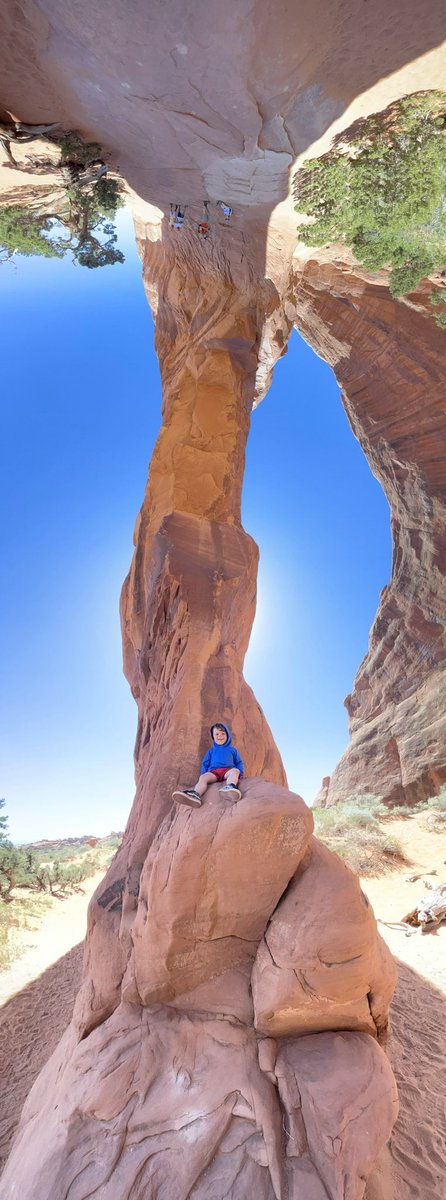 INMAN_Lab tweet media