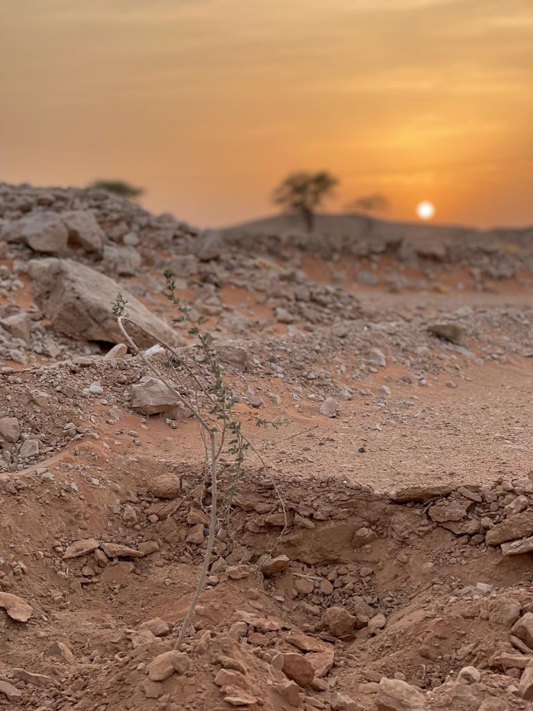 المبادرة الفلبينية للسعودية الخضراء 🌿🇵🇭🇸🇦 tweet media