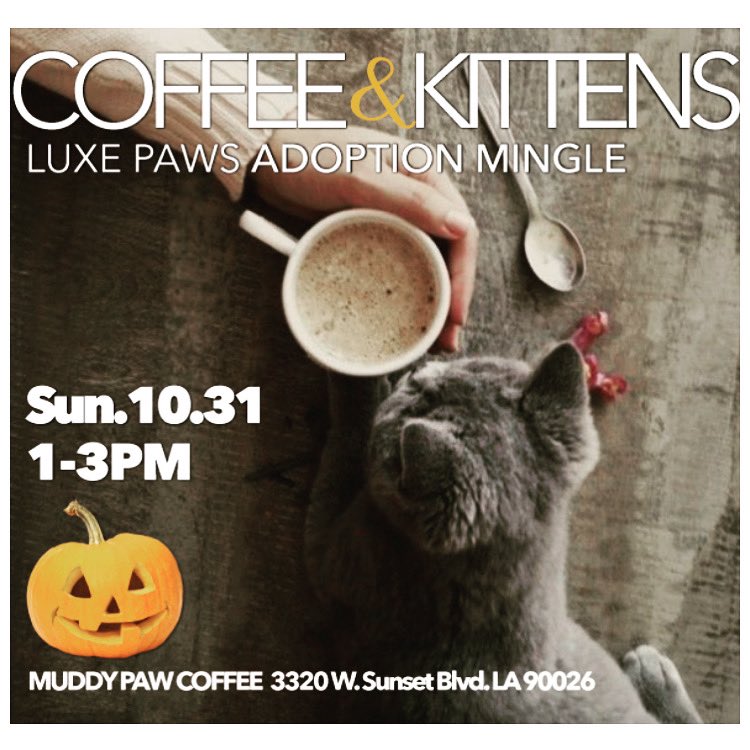 Luxe Paws tweet media