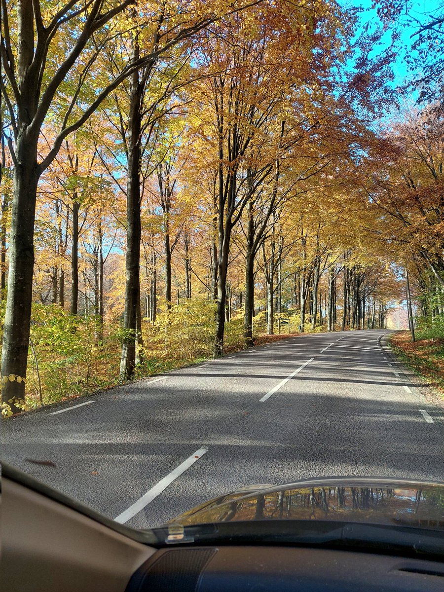 Overkligt vackert on the Road again.