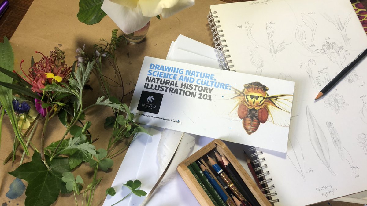 Live in 5 at at twitch.tv/newcastleX focusing on botanical sketching.