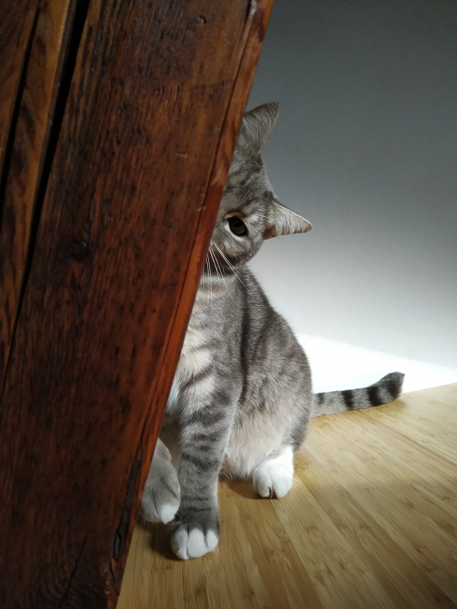 sjogrenlife's tweet photo. Coucou-caché https://t.co/iG9WIbfP6t