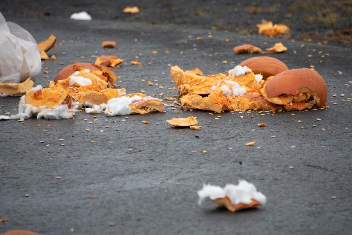 U.S. Coast Guard tweet media