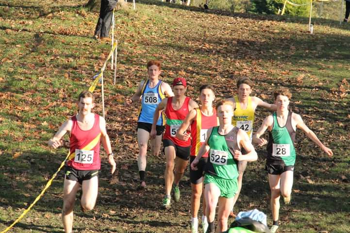 Harry Holmes tweet media