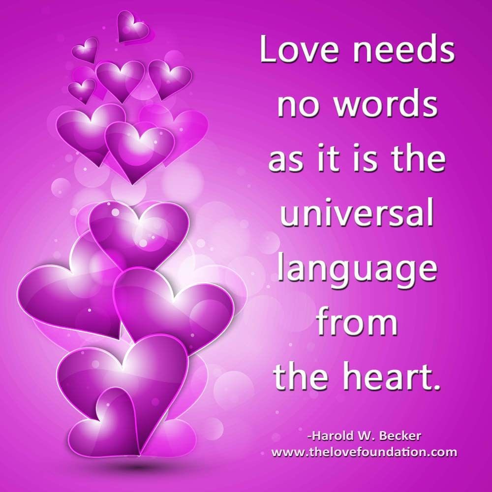 Dianne__LadyD's tweet image. #quoteoftheday 
#LightUpTheLove #LUTL
#PositiveVibesOnly 
#SaturdayThoughts 
#whatyouwantnowu 
#GoldenHearts 
#JoyTrain 
#starfishclub 
#ThinkBigSundaywithMarsha