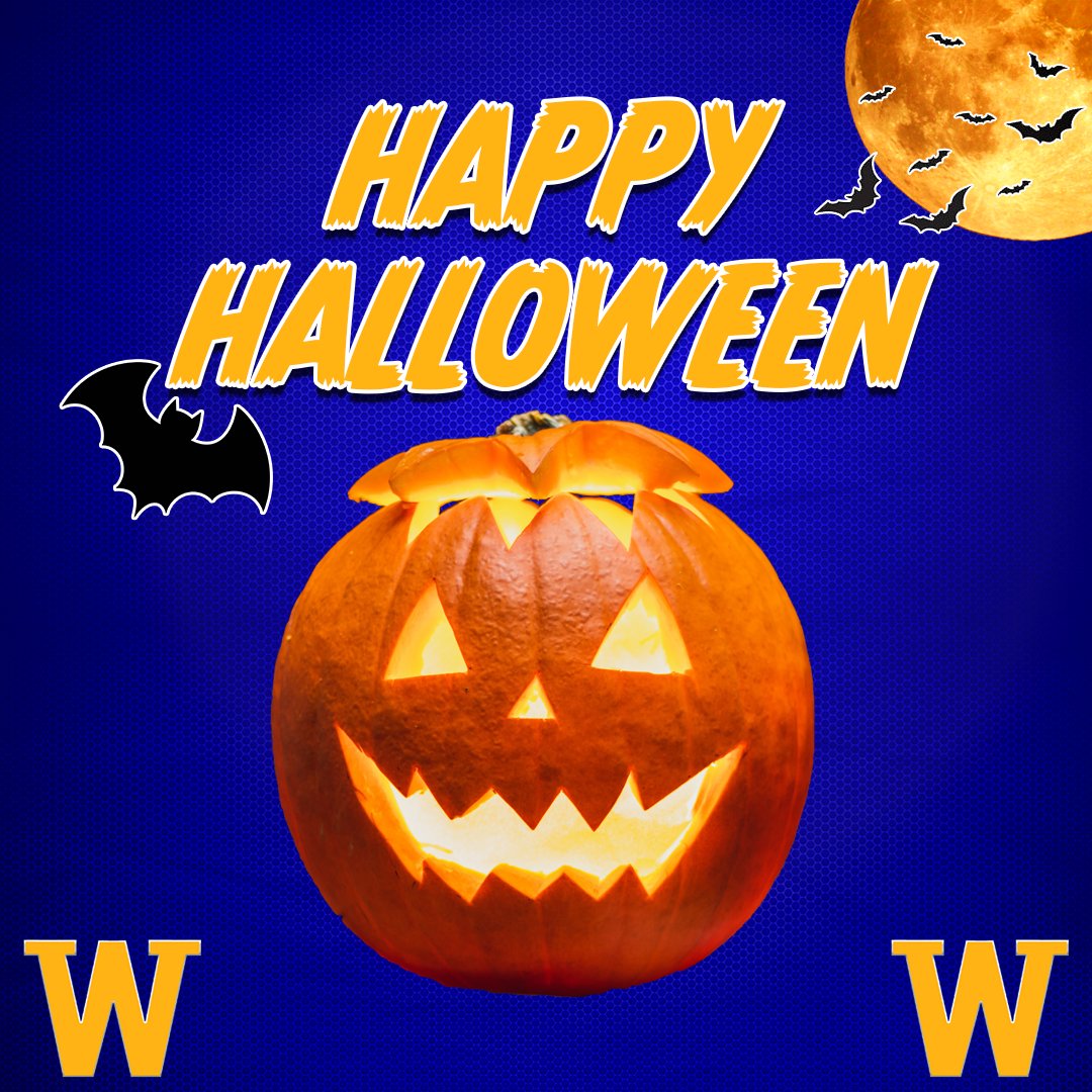 Post 11 Baseball tweet media