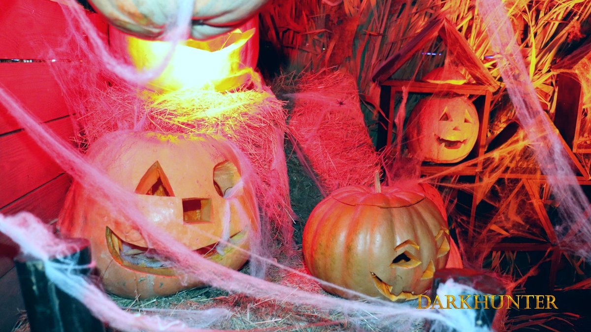 DARKHUNTERUA's tweet image. З усіх західних свят у Харківських молодіжних субкультурах чомусь особливо прижився Хеловін. Молодь готується до нього заздалегідь, як і власники багатьох кафе та крамничок у центрі міста... 
 #Хелловін #Харків #DARKHUNTER #halloween2021