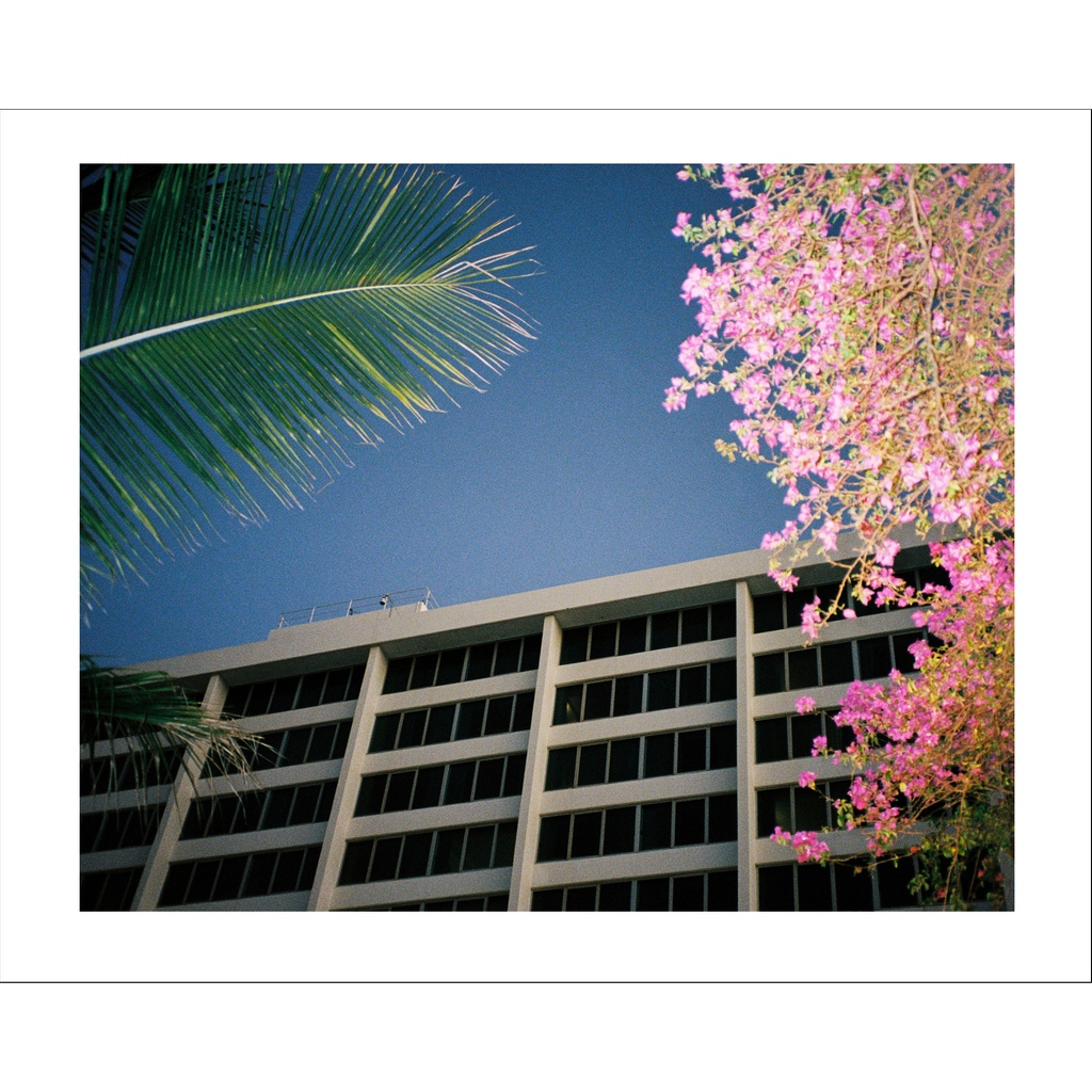 The last print on offer in the 
OCULI SUMMER PRINT SALE - ENDS 6PM

Abigail Varney - The Ville, Townsville,  2021
⁠
SALE ENDS 6PM TONIGHT
⁠
oculi.com.au/printsale